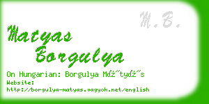 matyas borgulya business card